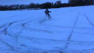 Jay in snow