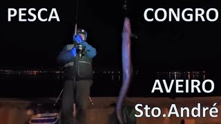 Pesca ao congro
