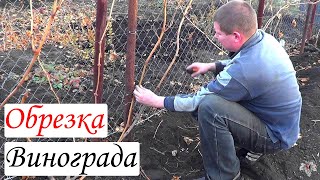 Обрезка винограда. Трёхлетний куст. Часть 2. Виноград 2014.