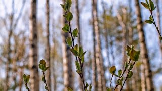 Вывод из зимовки. Осмотр состояния!