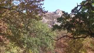 Крым в октябре, Природа.   Crimea in October, Nature