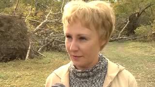 Сюжет "День Енисея"