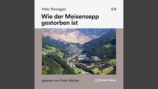 Wie der Meisensepp gestorben ist - Teil 4