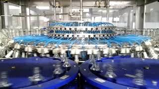 Liquor & wine filling, Rotary Rinser & Monoblock 300 bpm JAGAT INDUSTRIES (DELHI,INDIA)