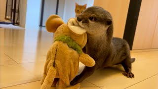 カワウソさくら　モノマネぬいぐるみ vs カワウソ猫チーム Impersonator plush toys, otters and cats