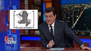 Beast Reality: Frog Sex Positions
