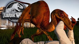 Jurassic World Evolution #28 - Der Troodon dreht durch & die Olorotitan ziehen ein! | LP JW Deutsch