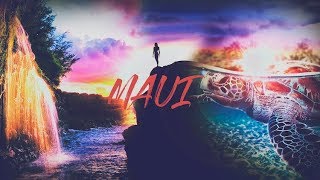 Houston on Vacation in Hawaii