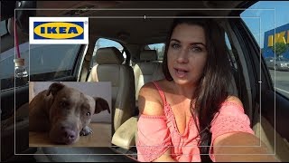 PITBULL, POZNAŃ i ZNOWU IKEA, JUHU! | szarlot t