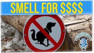 Company Offers People $6,000 to Smell Dog Poop for Two Months