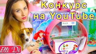 КОНКУРС НА АКВАРИУМ РУСАЛОЧКА Disney | ПОКУПКИ ИЗ ЗООМАГАЗИНА | Elli Di Pets