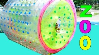 Зоопарк Маша и Медведь новая серия  Кормим Медведей  ZOO feeding bears Masha and Bear