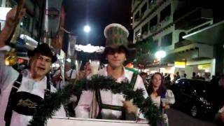 desfile os tulipeiros