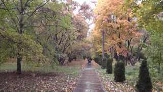 Ботанический сад. Самара.