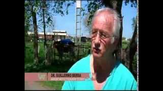 Bioplyn z kráv
