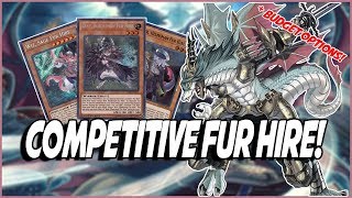 Yu-Gi-Oh BEST! IN-DEPTH FUR HIRE DECK PROFILE + BUDGET OPTIONS! |A FURRIOUS DECK TO PLAY!|