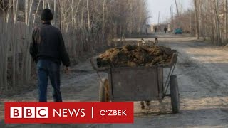 Ўзбекистон: Газсиз ва светсиз ўтирган аҳолининг даромади қачон ўсади? - BBC Uzbek