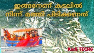 ഇങ്ങനേണ് കടലിൽ നിന്ന് മത്തി പിടിക്കണത്.. ???/sea fishing