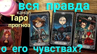 Таро прогноз Вся правда про его чувства? Таро Гадание онлайн tarot