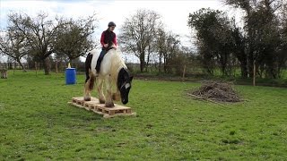 Entrainement PTV/Trail/Extreme Race sans harnachement