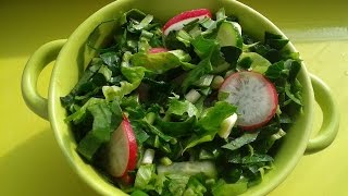 Свежий Зелёный Салат С Огурцами И Редиской