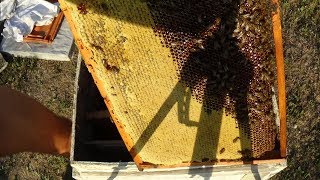 Выкачиваем мёд со старых рамок на пасике