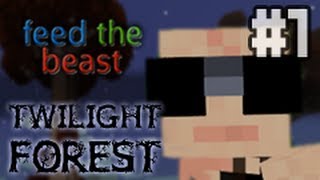 Alkonyat Erdő #1: Megérkeztem!