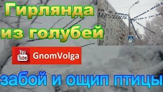 Гирлянда из голубей забой и ощип птицы