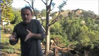 Dr. Alvaro Afonso na Wayfarers Chapel em Los Angeles : O estresse e nossas percepções (parte 2)