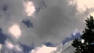 Голуби Донецка 3.05.2015г.