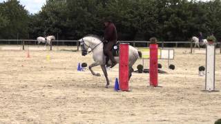DM 2014 Neu Anspach Working Equitation Roland Heiss Trail