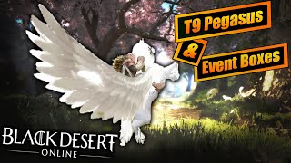 T9 Horse Attempt & 84 Box Opening - Black Desert Online