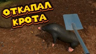 САД КРОТ И ФИНАЛ HOUSE FLIPPER