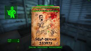 Fallout 4 Immersive Gameplay Reboot   03