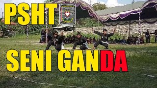 PSHT Menampilkan Seni Ganda
