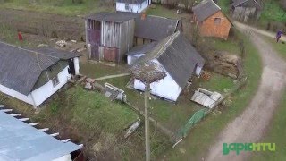 Львівобленерго зустрічає приліт лелек