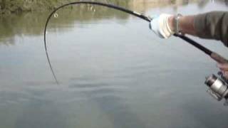Sabato ..dinamico! - Siluro - Catfishing