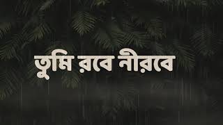Tumi Robey Nirobe (Esraj + Rain Mix) তুমি রবে নীরবে