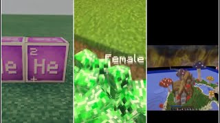 Tik Tok Minecraft Memes And Tutorials :)