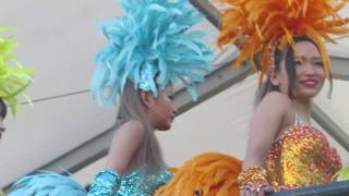 WIRED MUSIC FESTIVAL バーレスク東京 VVIP gogoダンス
