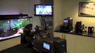 Sony DVF-L700 Viewfinder