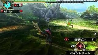 リオレウス希少種　弓ソロ　非火事場5分針【MHP3】