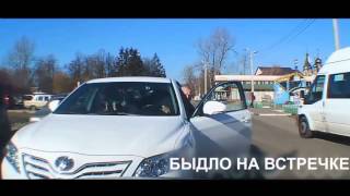 Быдло на дороге качает права, драки, разборки! Kampf auf den Straßen