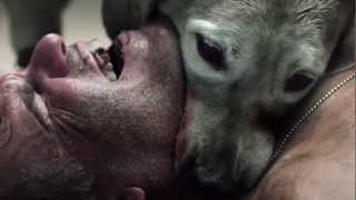 The ABCs of Death - «D is for Dogfight» (Собачьи бои)