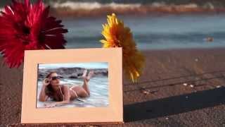 Flowers of the sea - Project for Proshow Producer
