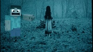 Minecraft Steve Dies Again : The Ring