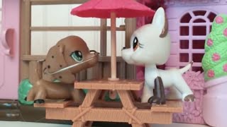 Lps: My Hopeless Romance Episode 1 {Hope Williams}