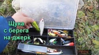Рыбалка осенью на щуку с берега на спиннинг на воблер