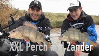 JLpikeBUSTERS NL - XXL Perch & Zander / Bellyboat fishing