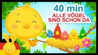 Alle Vögel sind schon da -Kinderlieder zum Mitsingen - Titounis